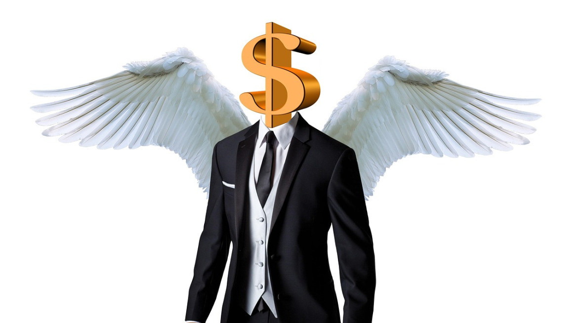 Angel Investor Venture Capitalist