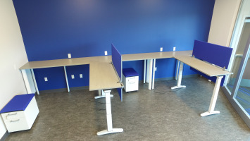 Blue walls with light brown height-adjustable desks and modesty panels (or partitions) for individual workspaces.